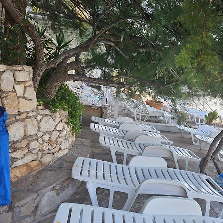Apartments Cytrus Neum Εξωτερικό φωτογραφία