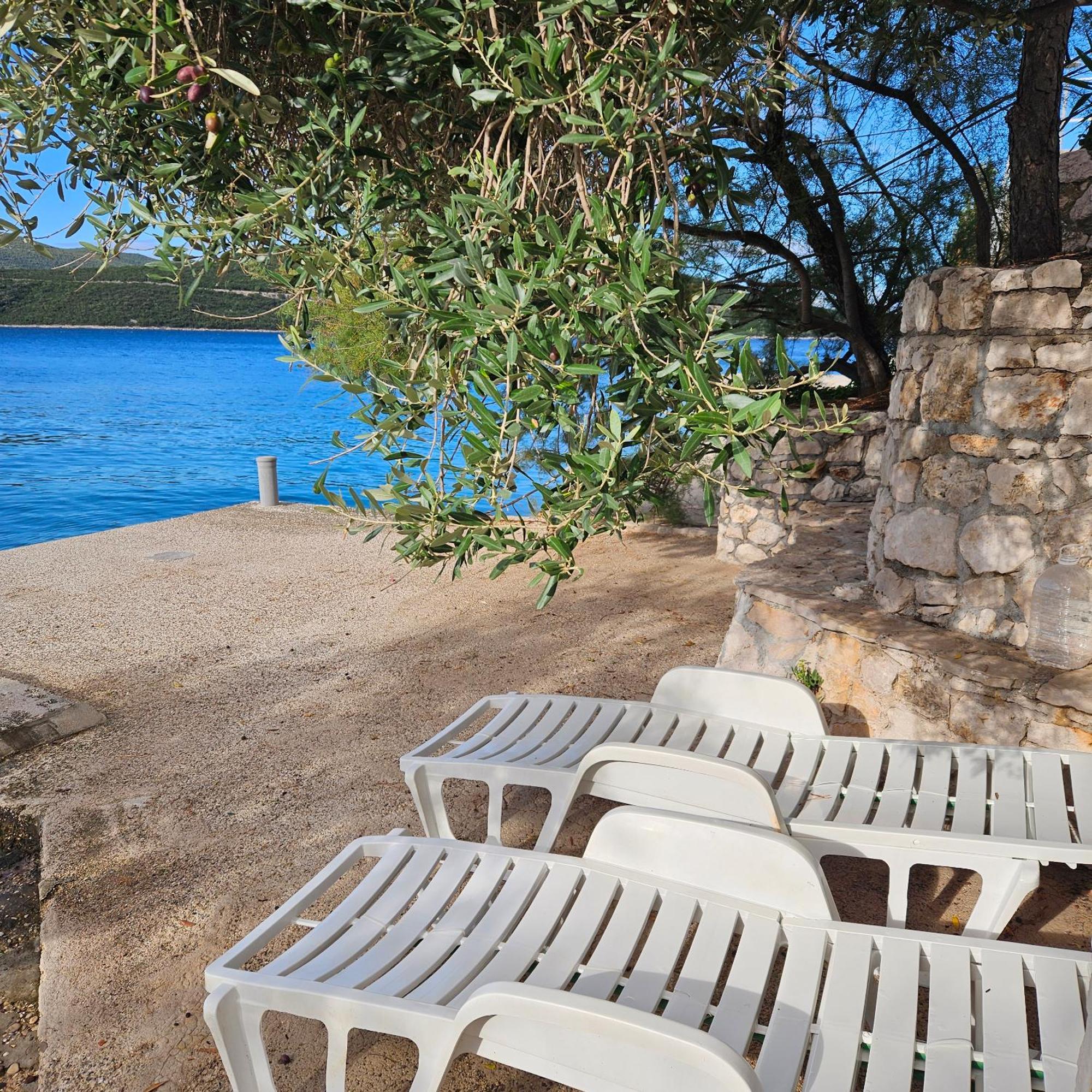 Apartments Cytrus Neum Εξωτερικό φωτογραφία