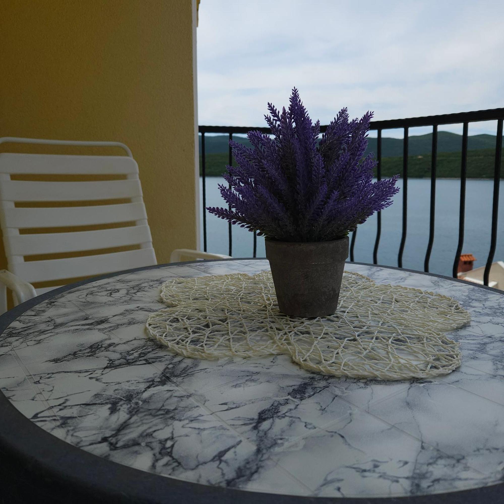 Apartments Cytrus Neum Εξωτερικό φωτογραφία