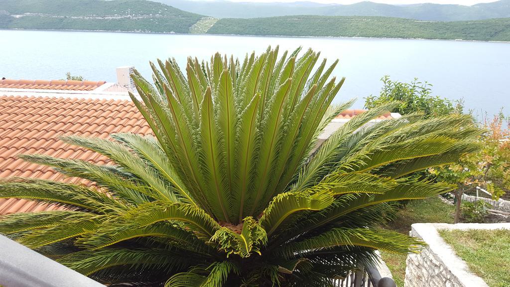 Apartments Cytrus Neum Εξωτερικό φωτογραφία