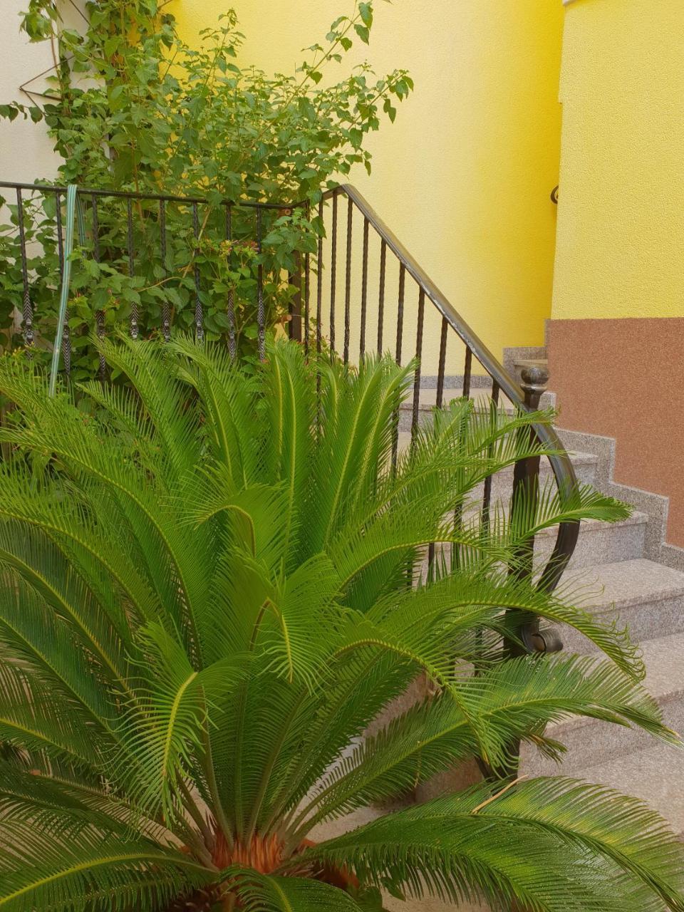 Apartments Cytrus Neum Εξωτερικό φωτογραφία